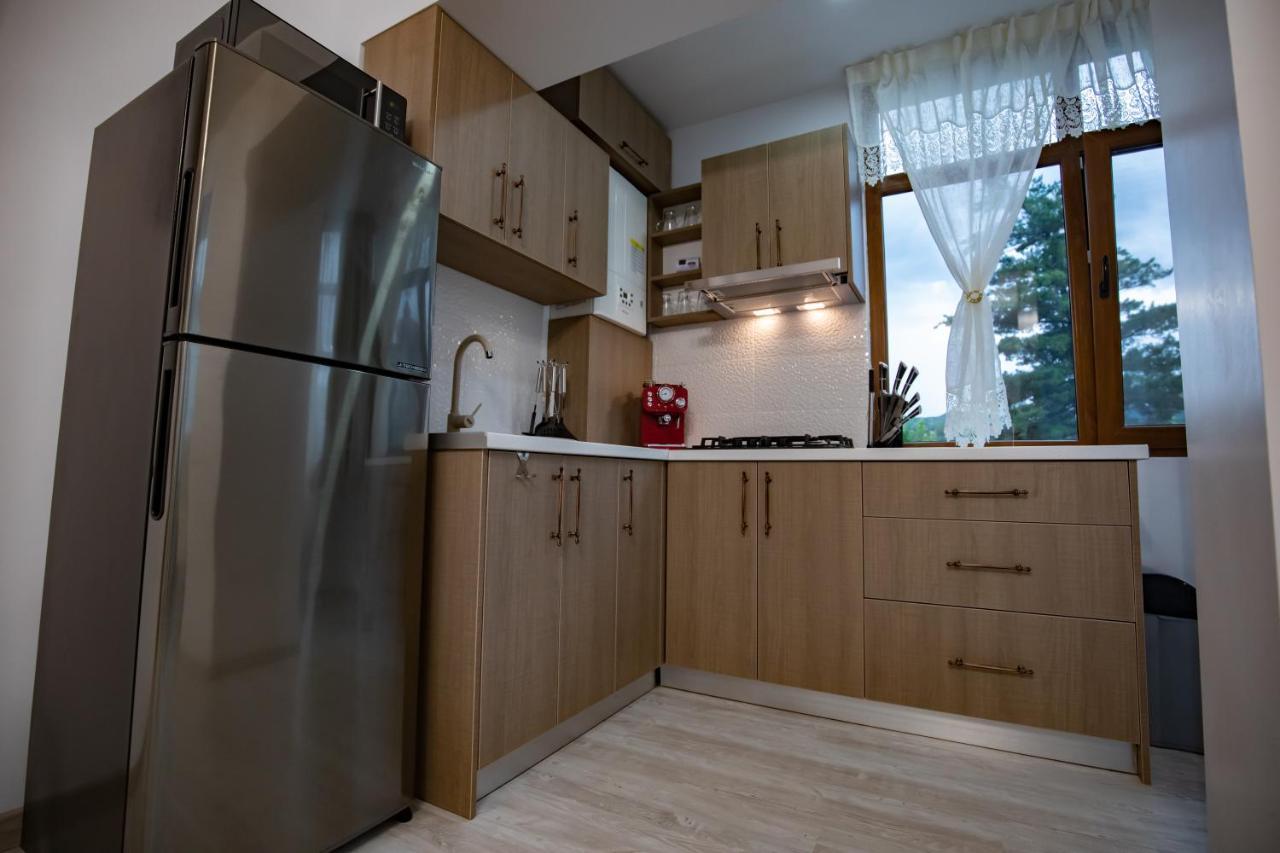 Apartament Natalia Tirgu Ocna Luaran gambar
