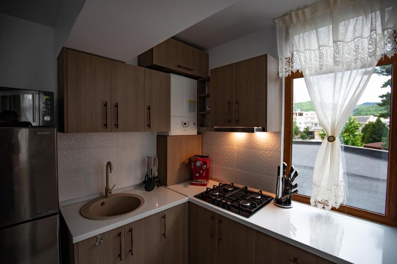 Apartament Natalia Tirgu Ocna Luaran gambar